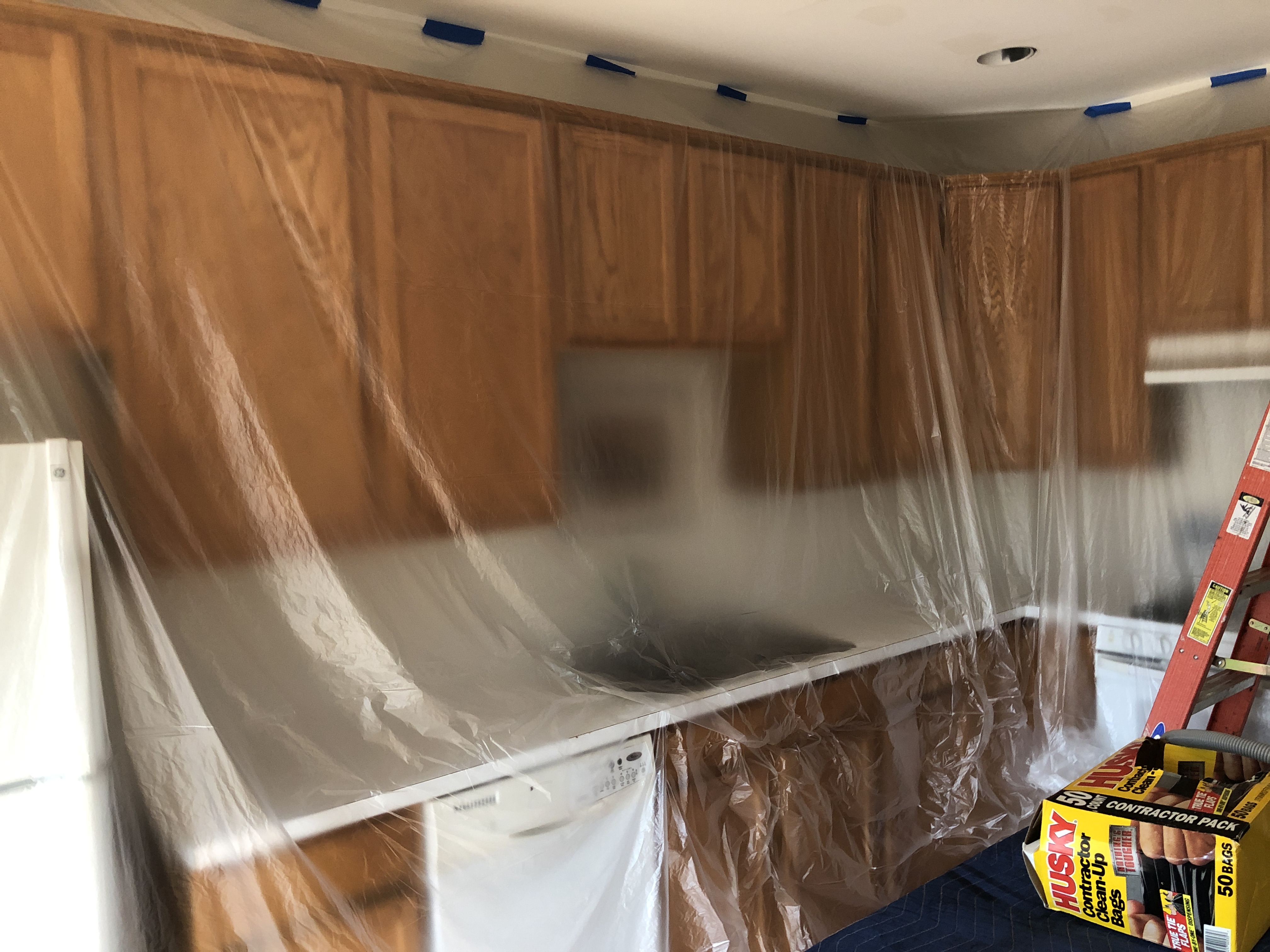 MidAtlantic Mold and Water Damage Image